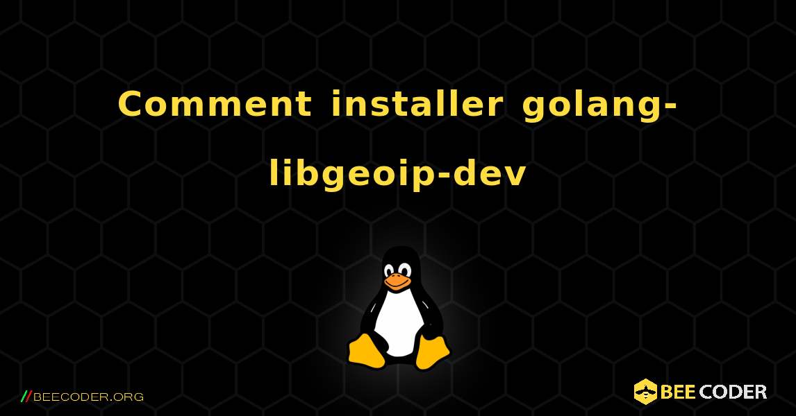 Comment installer golang-libgeoip-dev . Linux