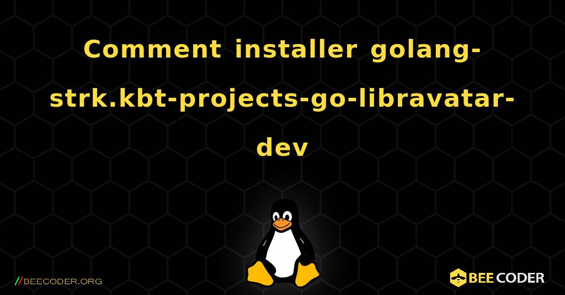 Comment installer golang-strk.kbt-projects-go-libravatar-dev . Linux