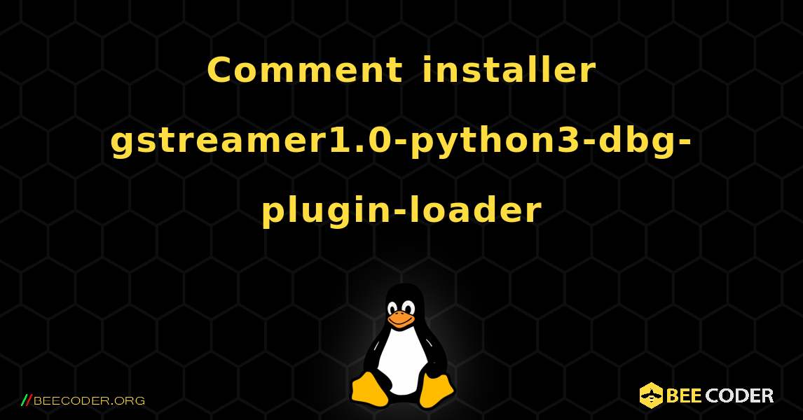 Comment installer gstreamer1.0-python3-dbg-plugin-loader . Linux