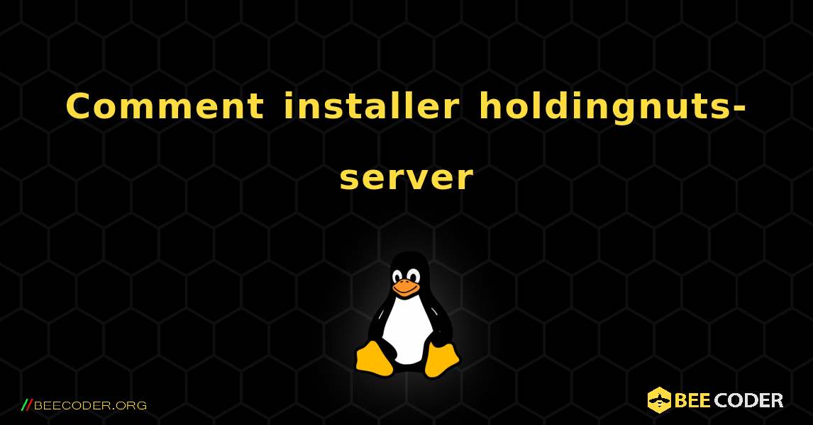 Comment installer holdingnuts-server . Linux