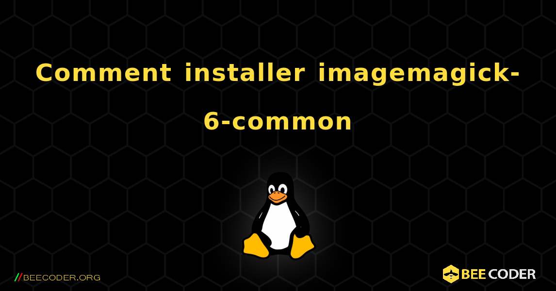 Comment installer imagemagick-6-common . Linux