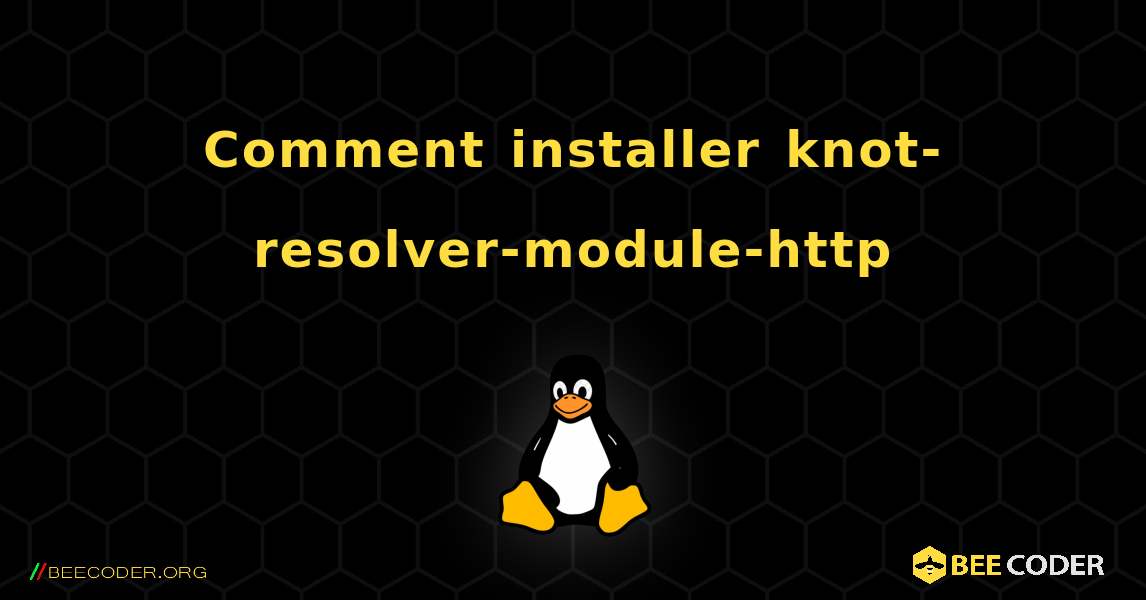 Comment installer knot-resolver-module-http . Linux