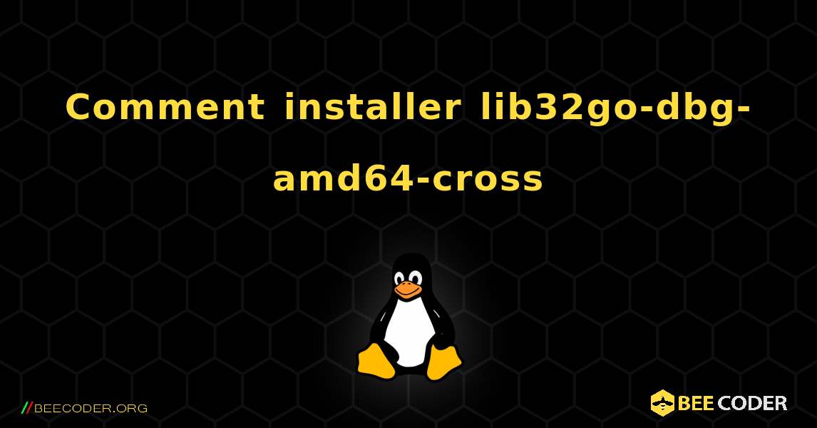 Comment installer lib32go-dbg-amd64-cross . Linux