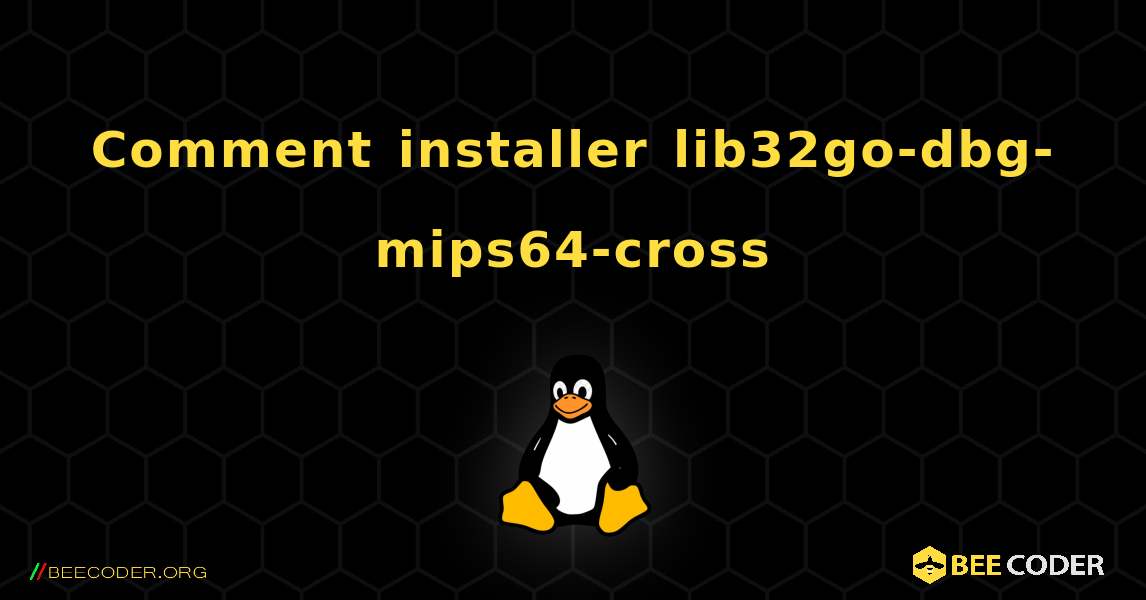 Comment installer lib32go-dbg-mips64-cross . Linux