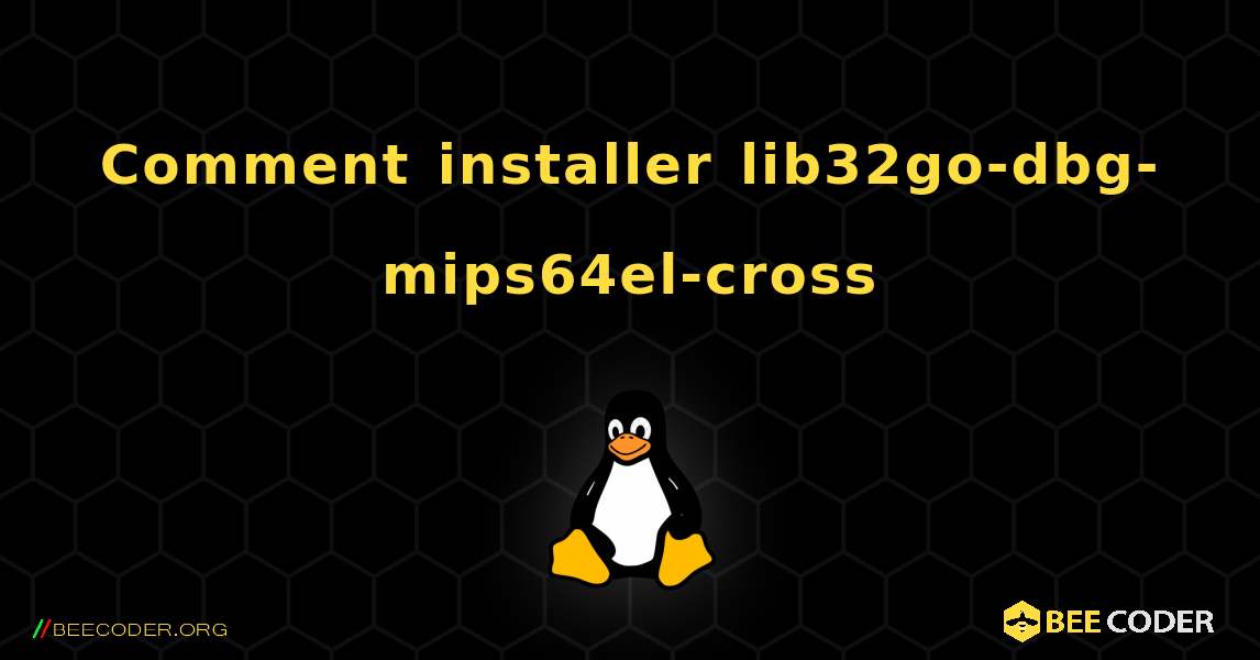 Comment installer lib32go-dbg-mips64el-cross . Linux
