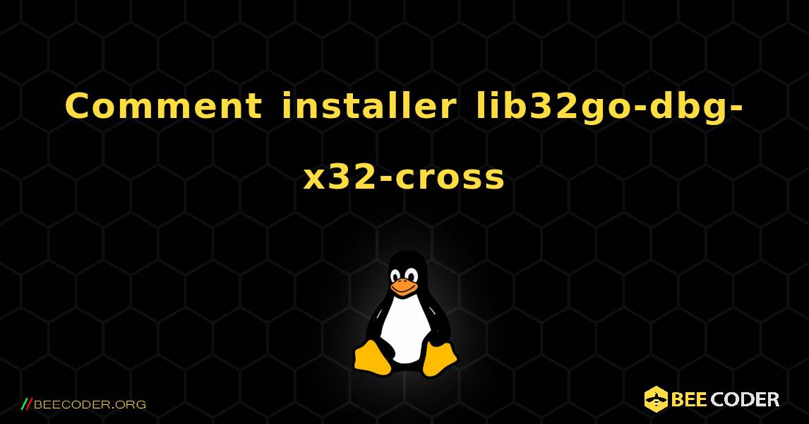 Comment installer lib32go-dbg-x32-cross . Linux