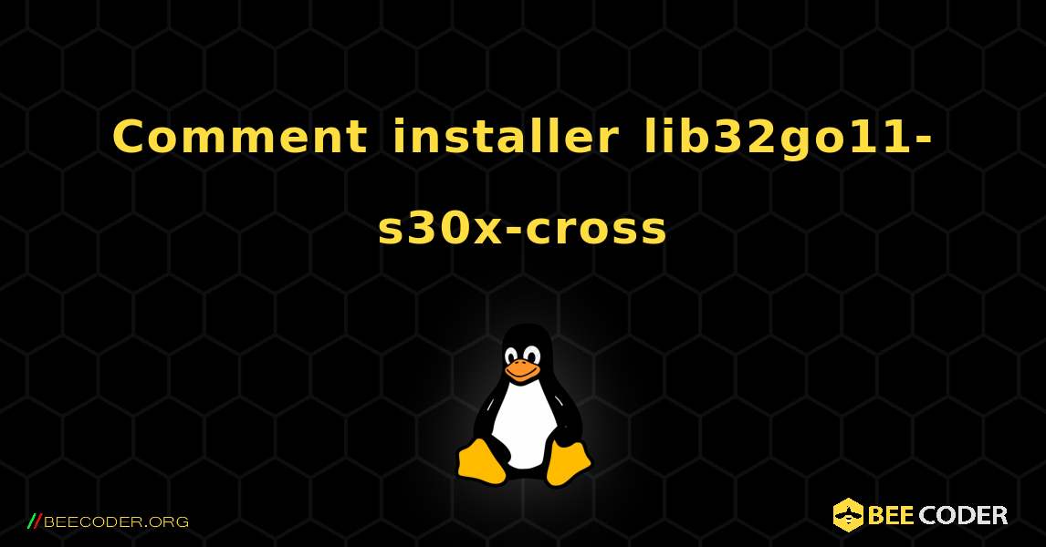 Comment installer lib32go11-s30x-cross . Linux