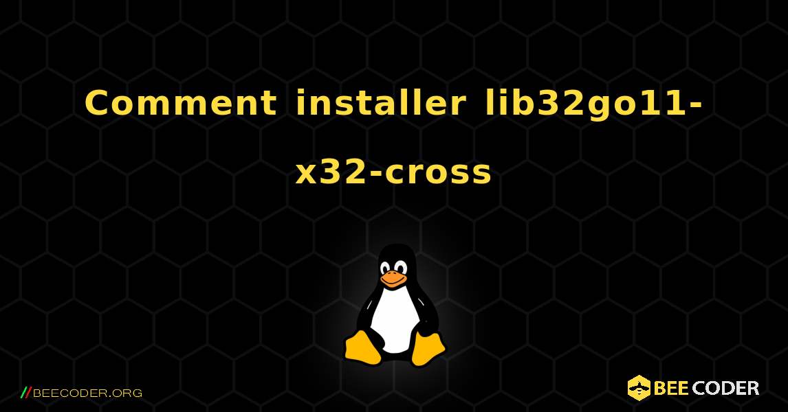 Comment installer lib32go11-x32-cross . Linux