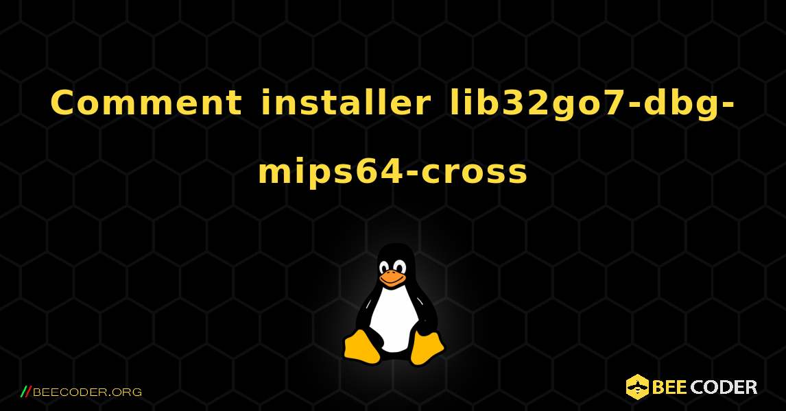 Comment installer lib32go7-dbg-mips64-cross . Linux