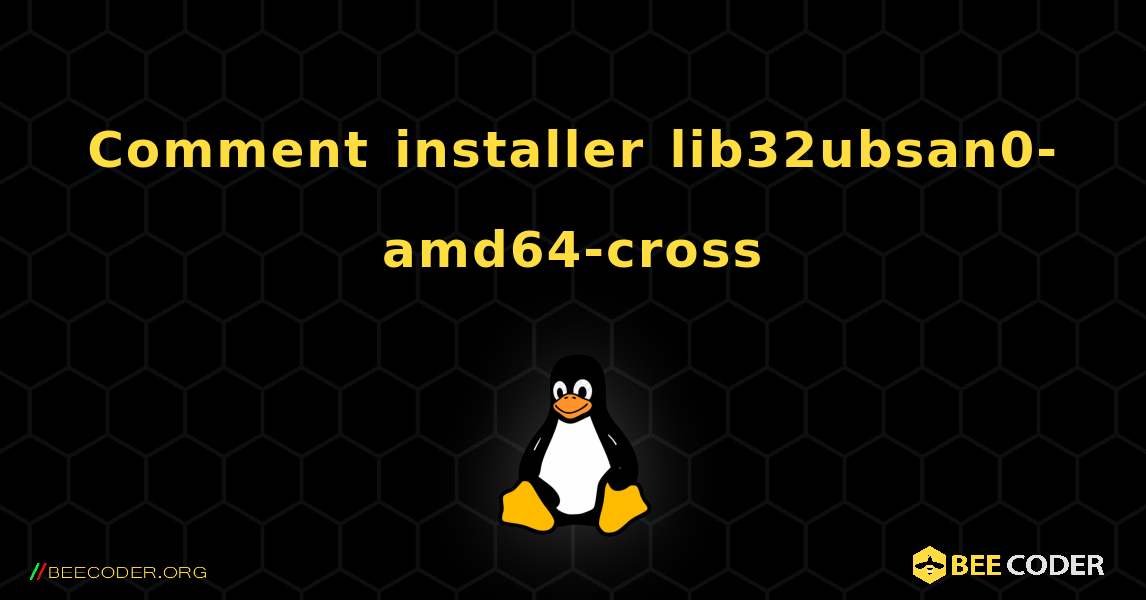 Comment installer lib32ubsan0-amd64-cross . Linux