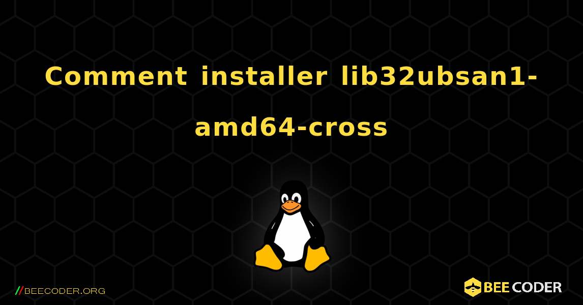 Comment installer lib32ubsan1-amd64-cross . Linux