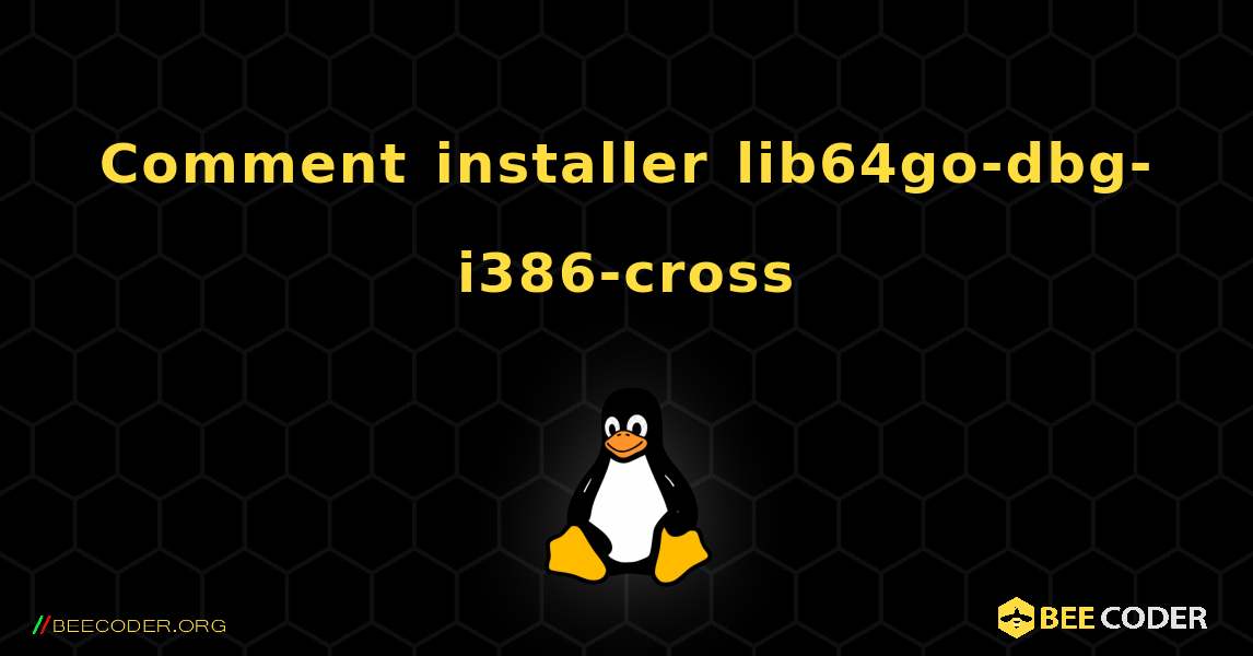Comment installer lib64go-dbg-i386-cross . Linux