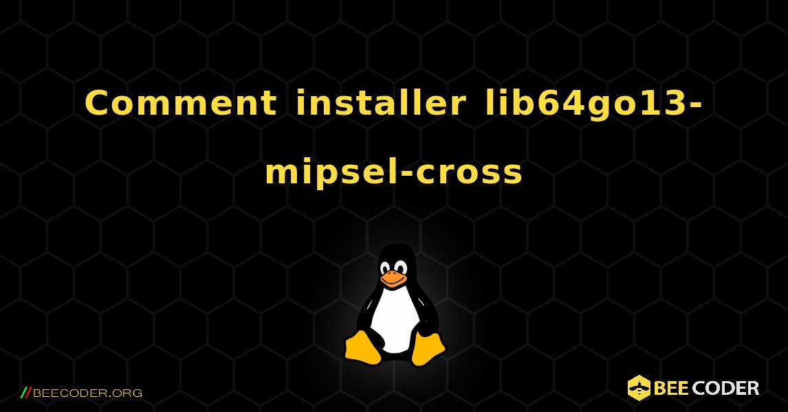 Comment installer lib64go13-mipsel-cross . Linux