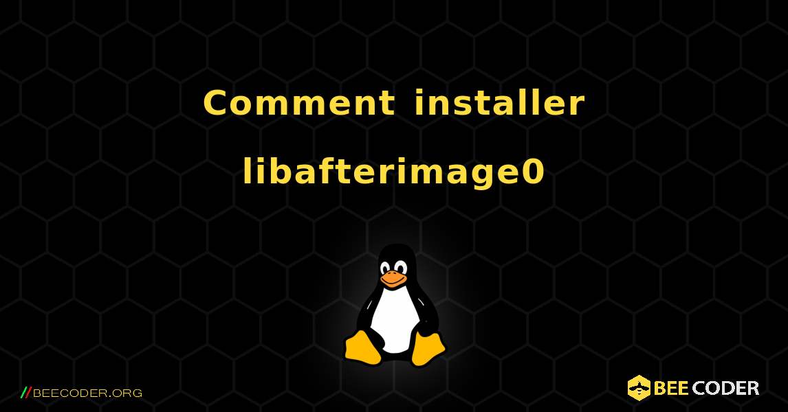 Comment installer libafterimage0 . Linux