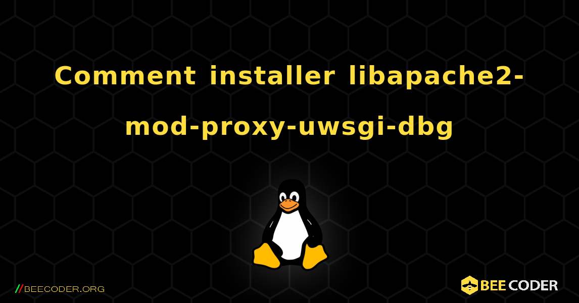 Comment installer libapache2-mod-proxy-uwsgi-dbg . Linux