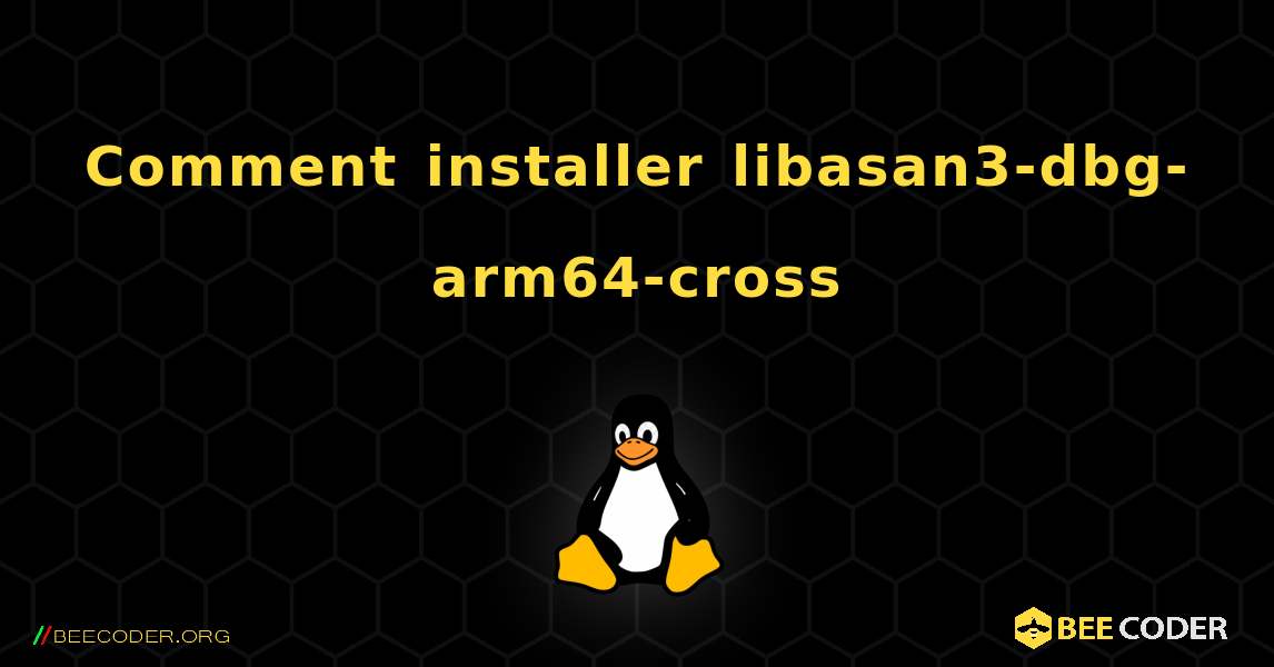 Comment installer libasan3-dbg-arm64-cross . Linux