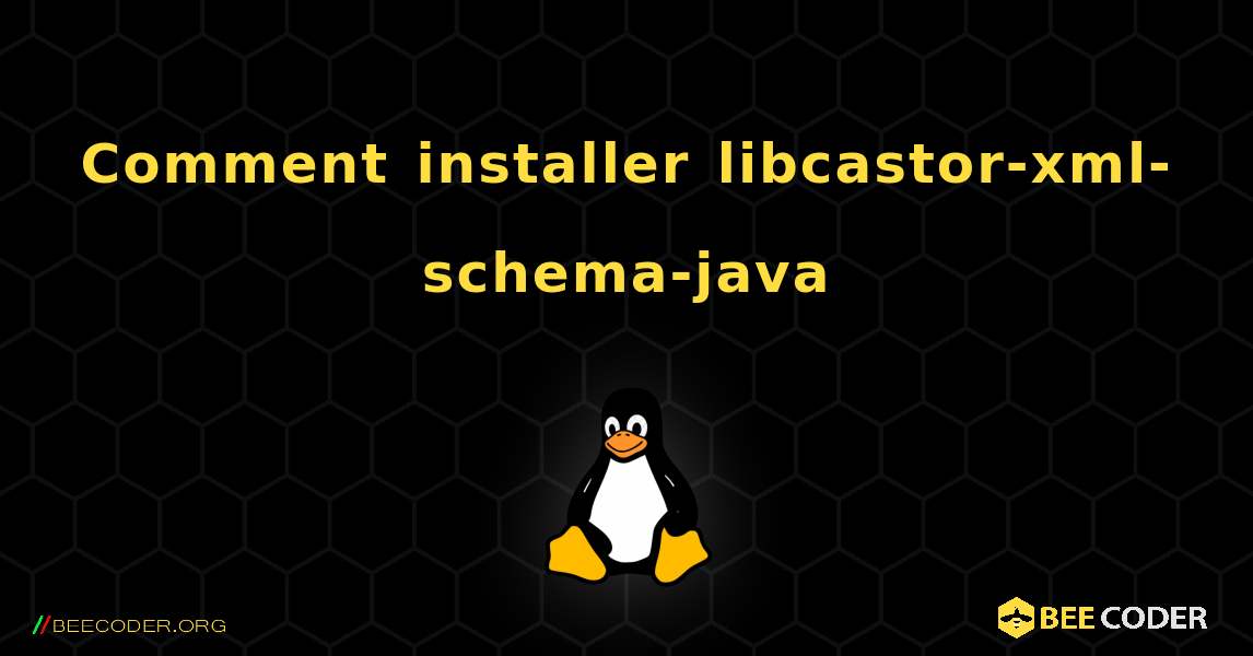 Comment installer libcastor-xml-schema-java . Linux