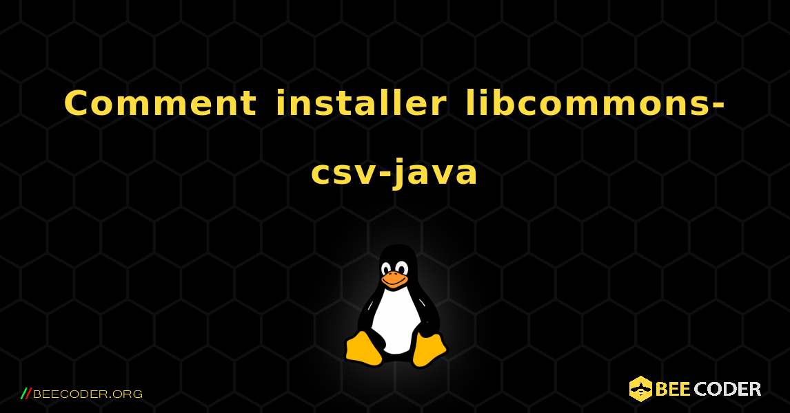 Comment installer libcommons-csv-java . Linux