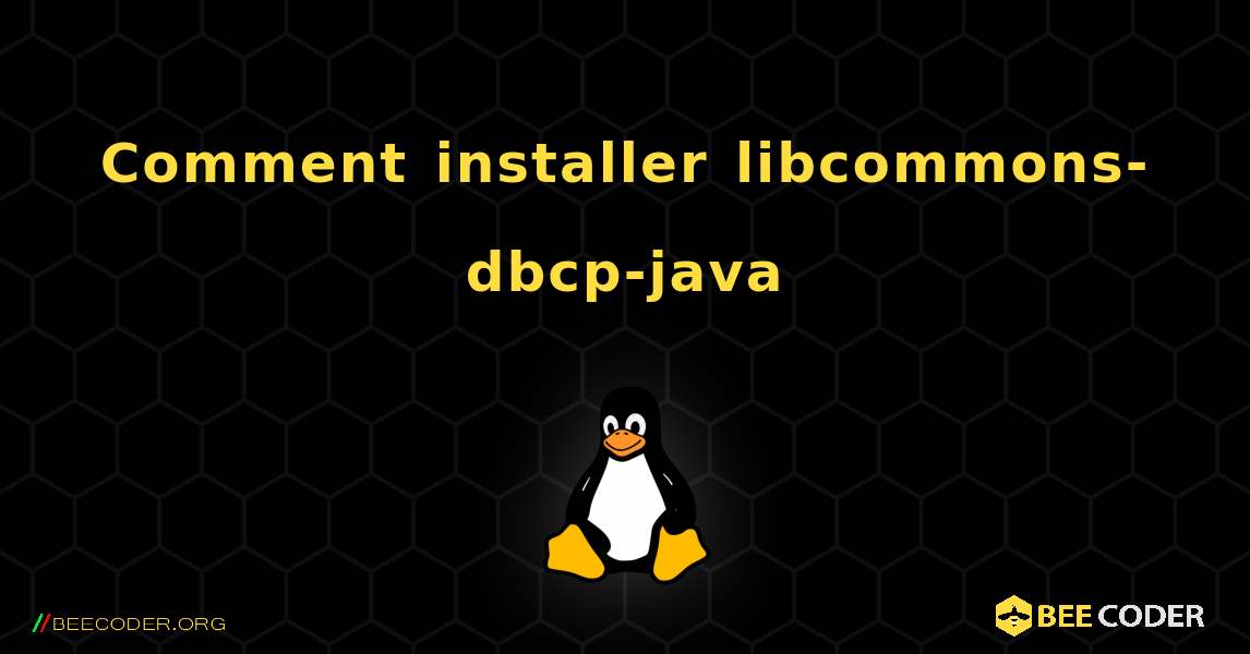 Comment installer libcommons-dbcp-java . Linux