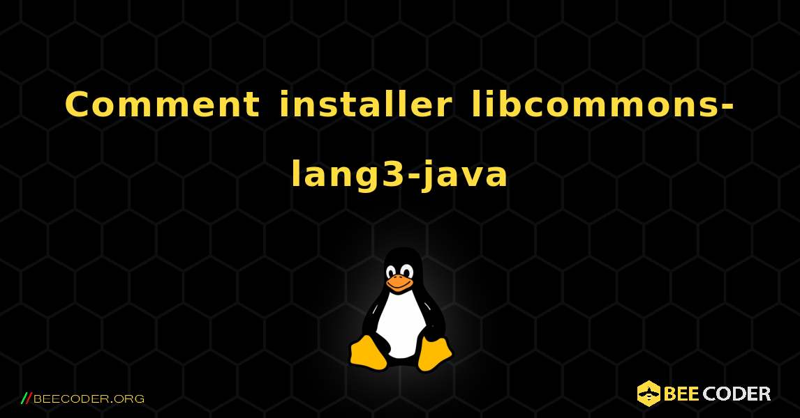 Comment installer libcommons-lang3-java . Linux