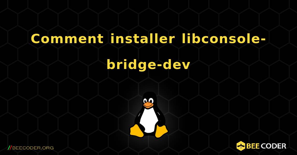 Comment installer libconsole-bridge-dev . Linux