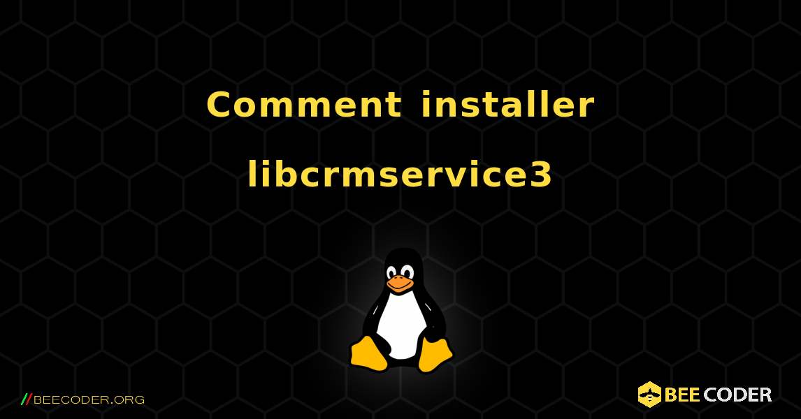 Comment installer libcrmservice3 . Linux