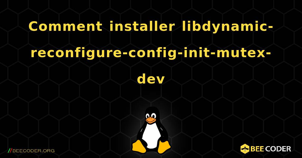 Comment installer libdynamic-reconfigure-config-init-mutex-dev . Linux