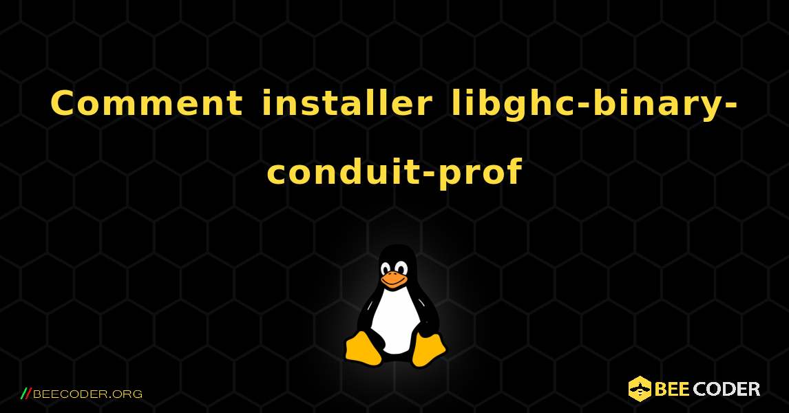 Comment installer libghc-binary-conduit-prof . Linux