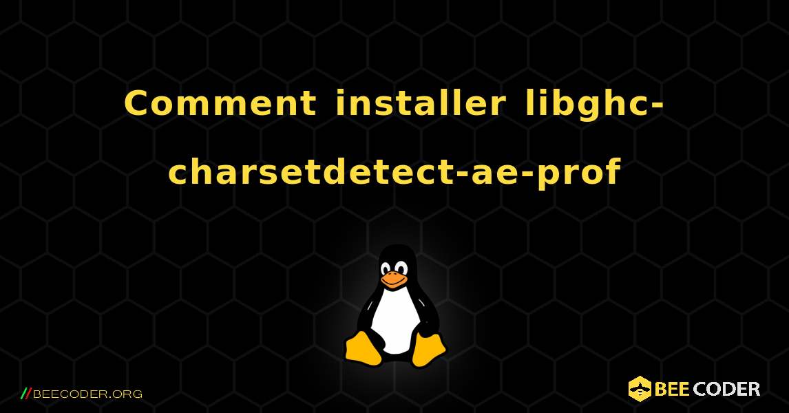 Comment installer libghc-charsetdetect-ae-prof . Linux