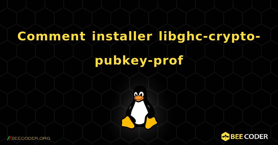 Comment installer libghc-crypto-pubkey-prof . Linux