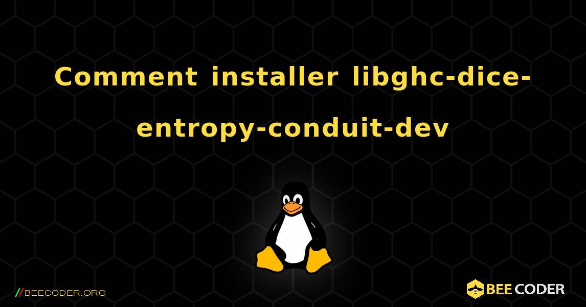 Comment installer libghc-dice-entropy-conduit-dev . Linux