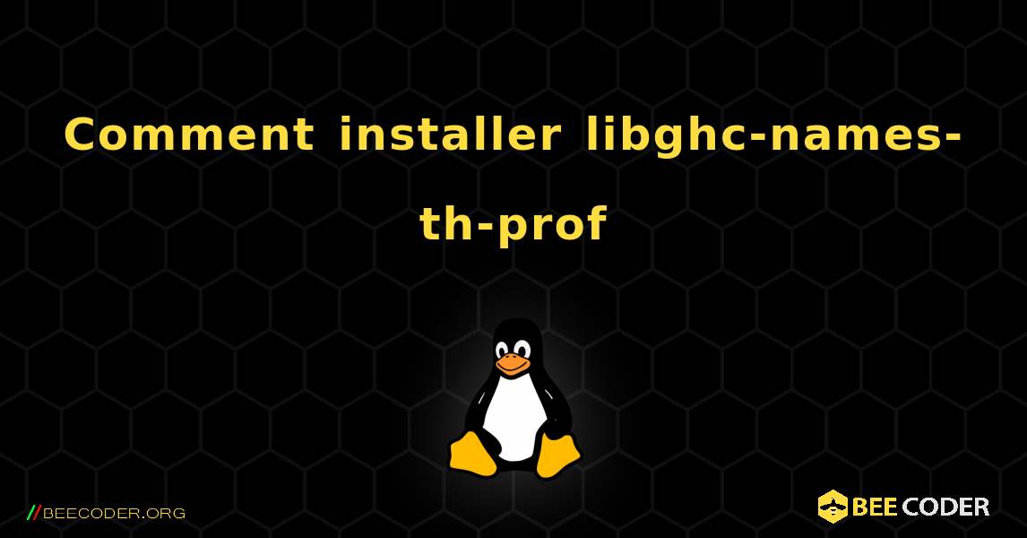Comment installer libghc-names-th-prof . Linux