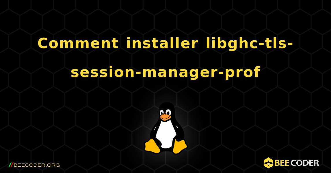 Comment installer libghc-tls-session-manager-prof . Linux