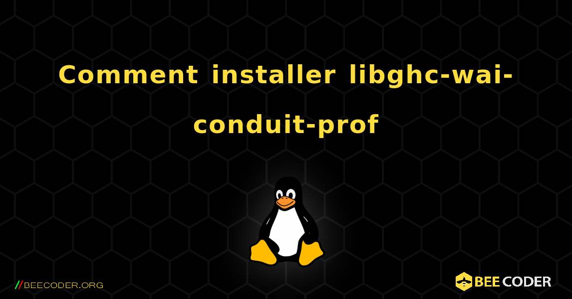 Comment installer libghc-wai-conduit-prof . Linux