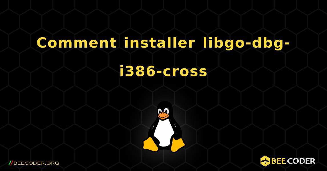 Comment installer libgo-dbg-i386-cross . Linux
