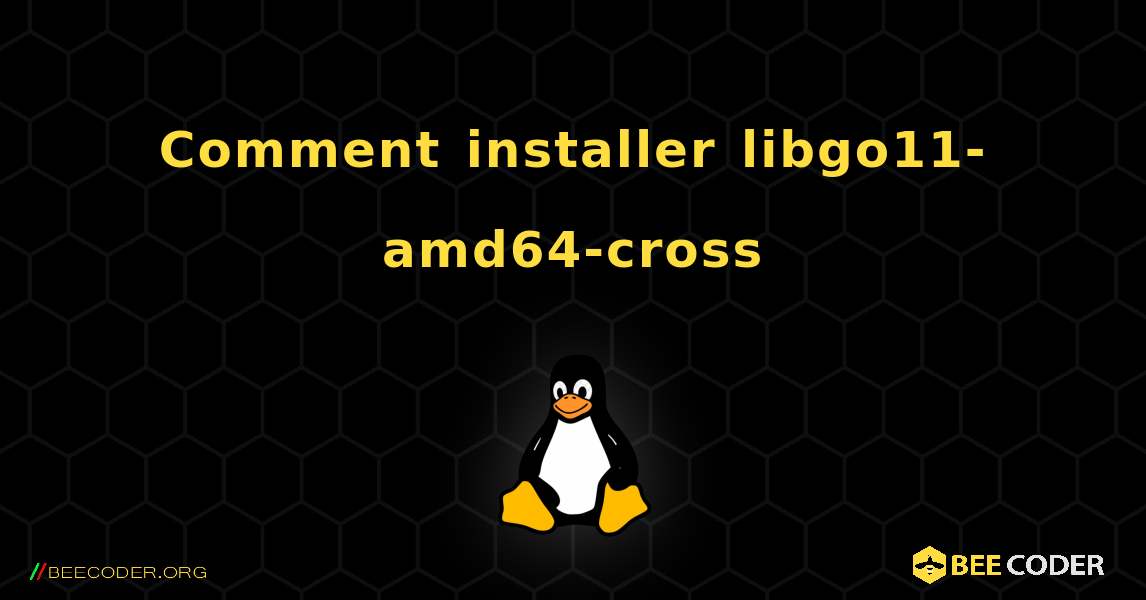 Comment installer libgo11-amd64-cross . Linux