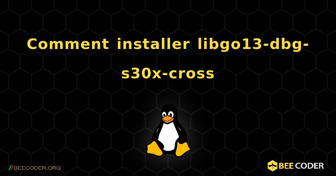 Comment installer libgo13-dbg-s30x-cross . Linux