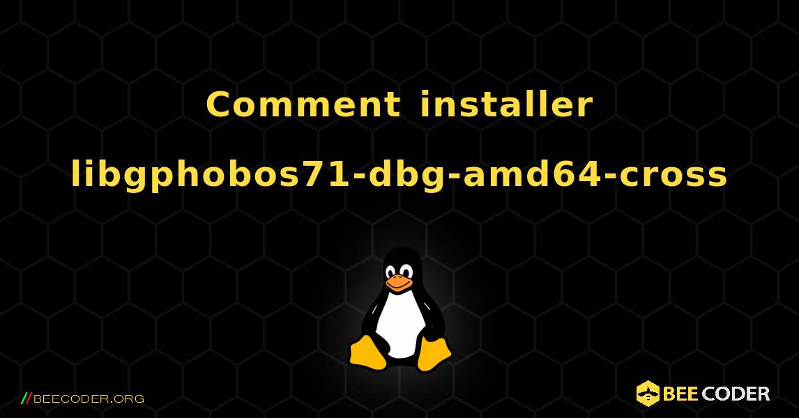 Comment installer libgphobos71-dbg-amd64-cross . Linux