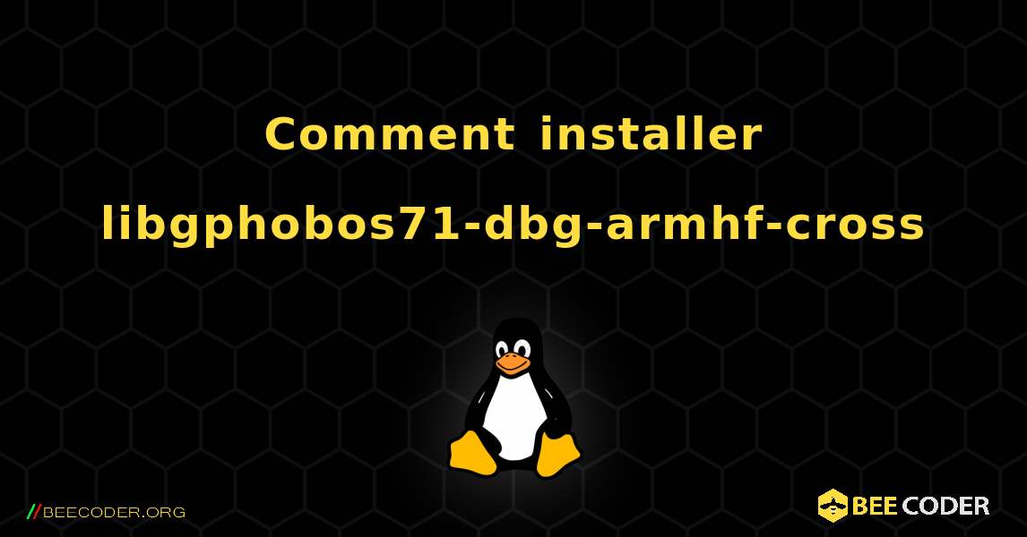 Comment installer libgphobos71-dbg-armhf-cross . Linux