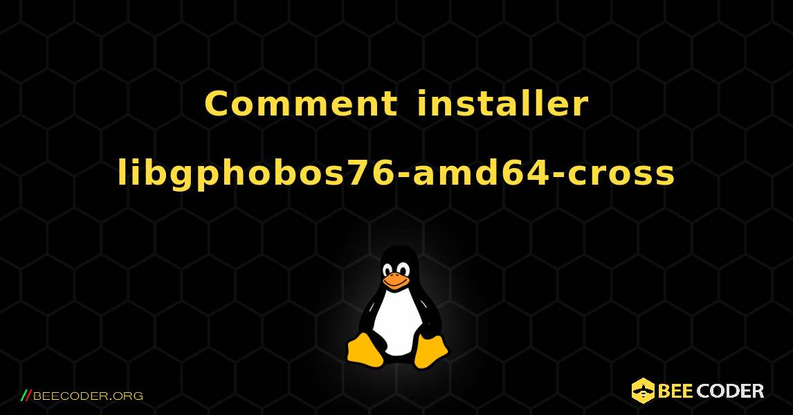 Comment installer libgphobos76-amd64-cross . Linux