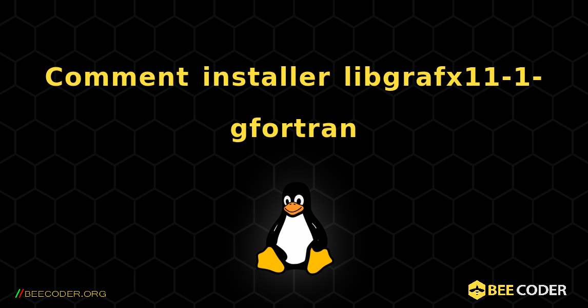 Comment installer libgrafx11-1-gfortran . Linux
