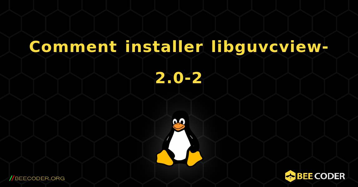 Comment installer libguvcview-2.0-2 . Linux