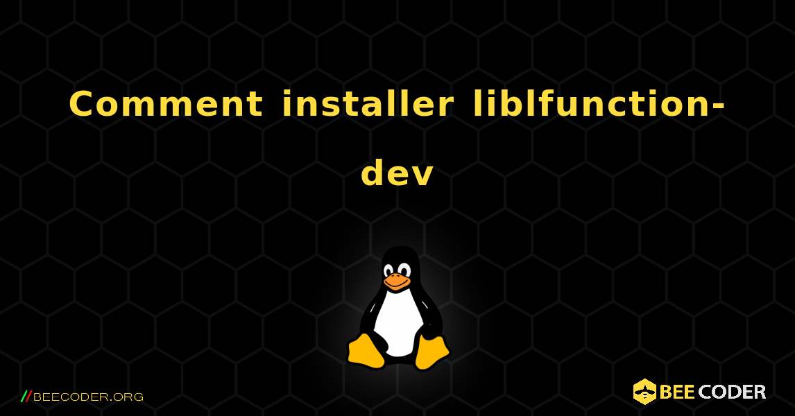 Comment installer liblfunction-dev . Linux