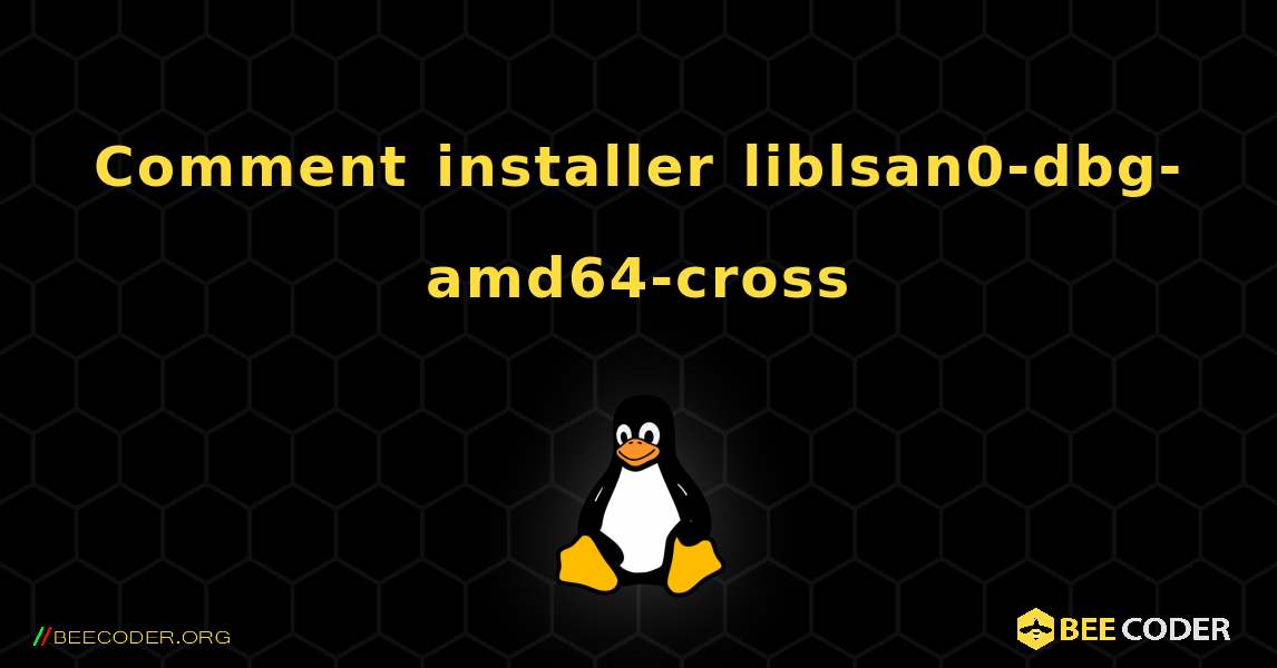 Comment installer liblsan0-dbg-amd64-cross . Linux