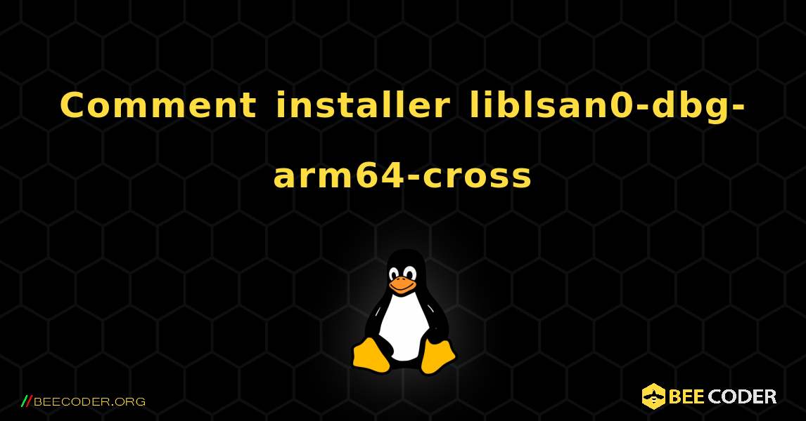 Comment installer liblsan0-dbg-arm64-cross . Linux