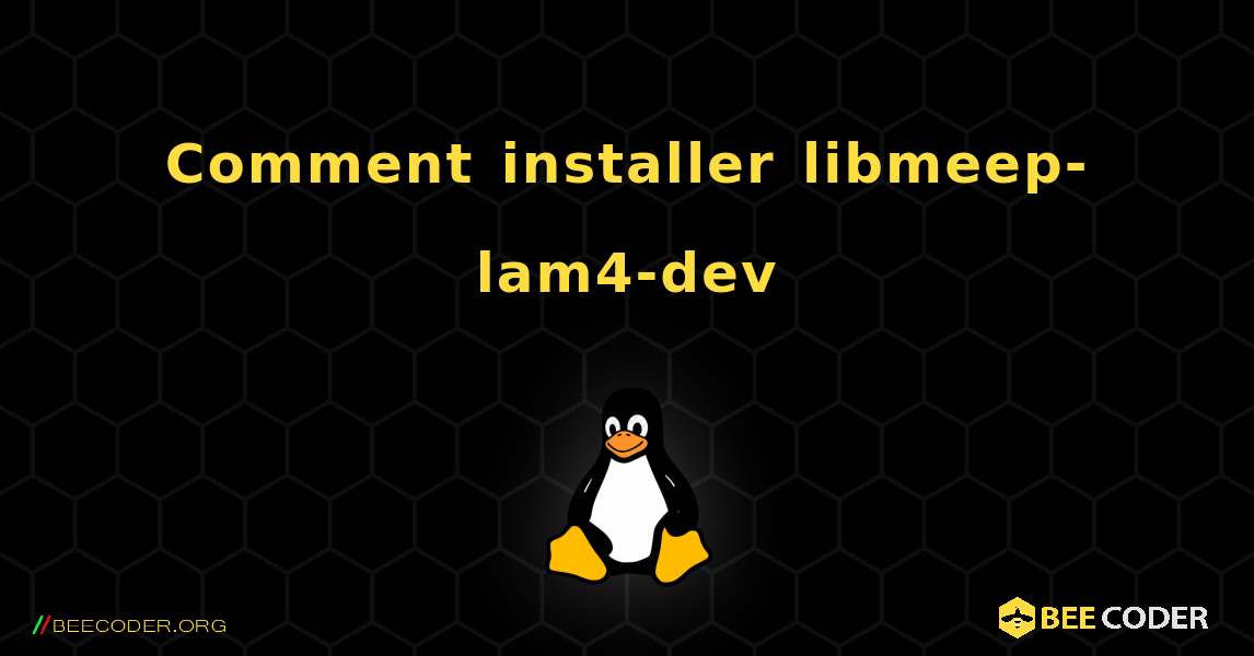 Comment installer libmeep-lam4-dev . Linux