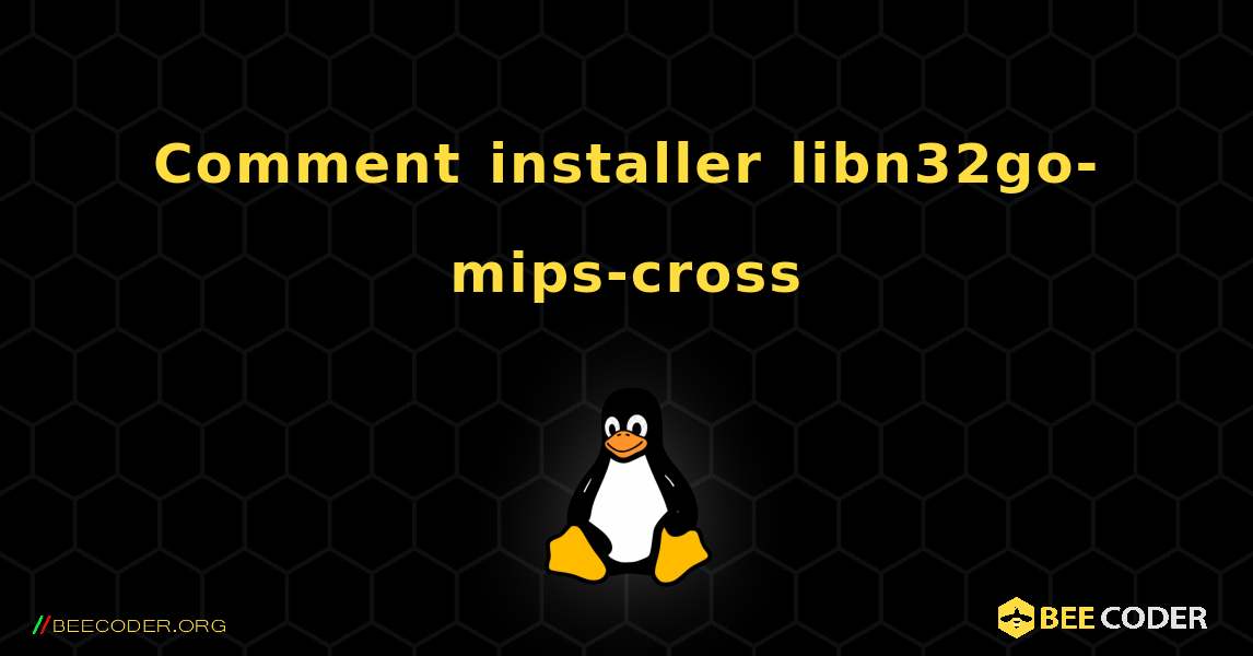 Comment installer libn32go-mips-cross . Linux