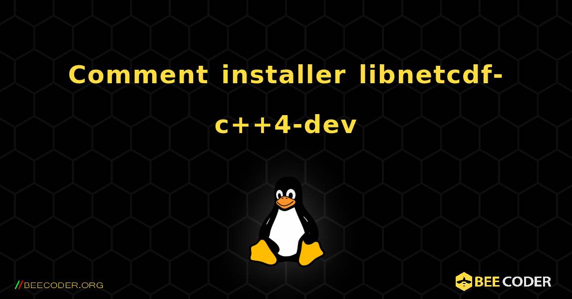 Comment installer libnetcdf-c++4-dev . Linux