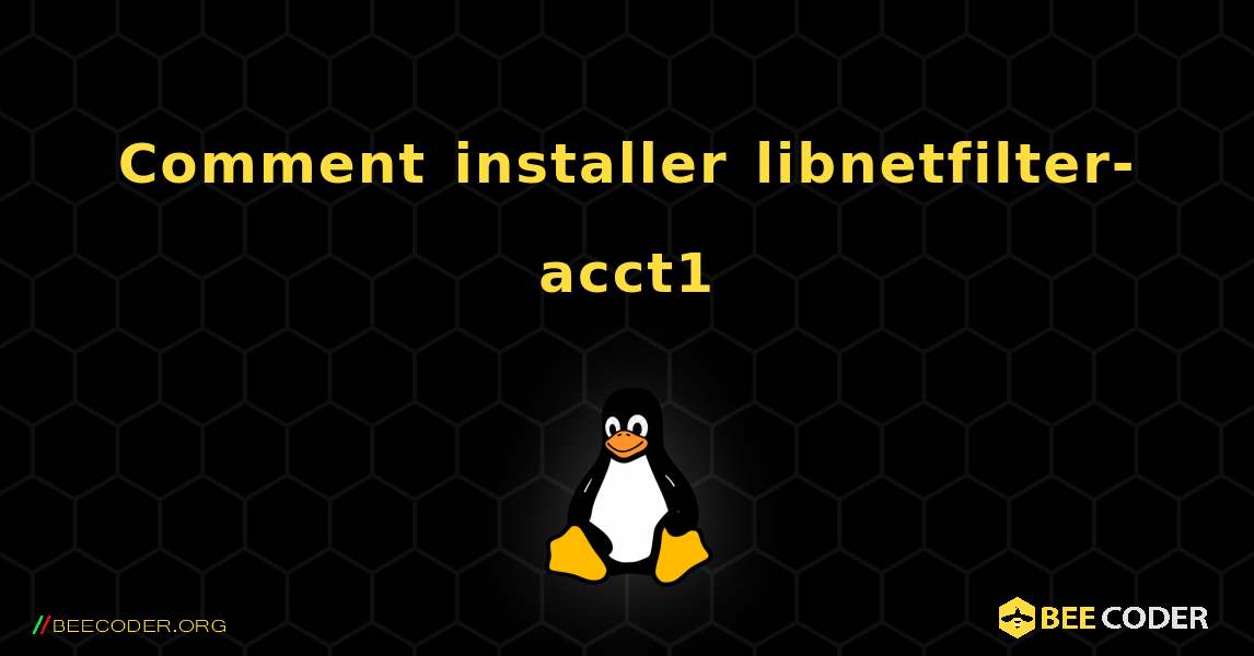 Comment installer libnetfilter-acct1 . Linux