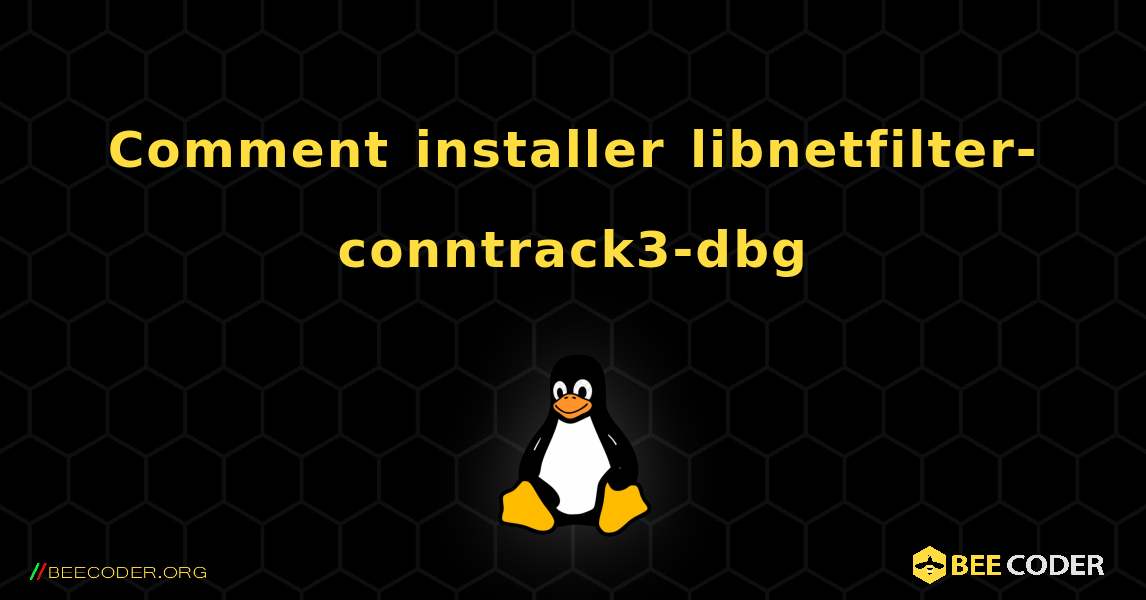 Comment installer libnetfilter-conntrack3-dbg . Linux